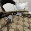 Gucci Logo Medium Backpack in Beige and Ebony GG Canvas with Original Green Gift Bag