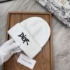 Special Offer Dior Beret - New Arrival Fine Wool Knit Hat