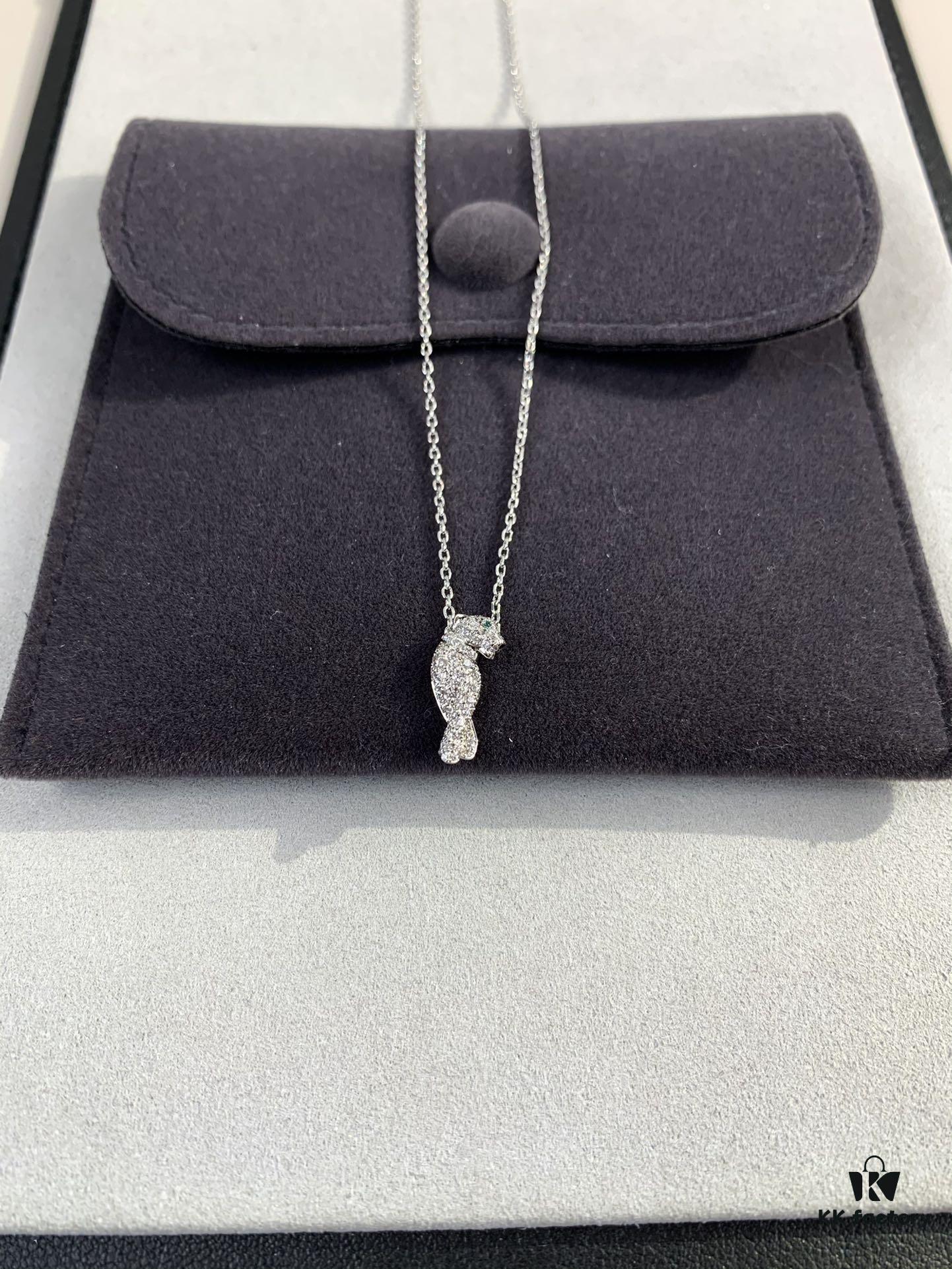 Leopard Series, Love at First Sight!