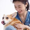 HEFANG Xiao Hua Corgi Collar Chain, Lightweight Luxury Unique Design Necklace, Qixi Gift (Same Style as Zhou Yutong)