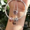 Pandora Popular Bestselling Necklace and Bracelet Set