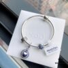 Pandora Globe Bracelet 'Fashionable Traveler' Rotating Earth Bracelet Set