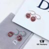 Dior Luxury Jewelry Rose Compass Eight-Pointed Star Stud Earrings - Exquisite Compass Rose Design, S925 Sterling Silver with Natural Turquoise, White Mother of Pearl, and Red Agate