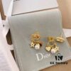 Dior Christmas Set: Necklace, Bracelet, and Stud Earrings (Original Packaging, Free Shipping)