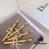 Dior Christmas Set: Necklace, Hair Clip, and Stud Earrings (Original Packaging, Free Shipping)