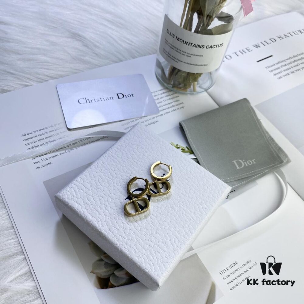 Dior Stock Available New Style Earrings