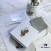 Dior Stock Available New Style Earrings