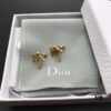Dior In-Stock Style Stud Earrings