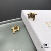 Dior In-Stock Style Stud Earrings