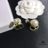 Dior In-Stock Style Stud Earrings