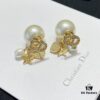 Dior Earrings, Heart and Star Stud Earrings