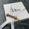 Dior Hair Clip, Instantly Captivating with Two Little Bees Circling Around