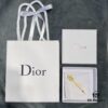 Dior Hair Clip - Essential Summer Item with Minimalist Design