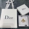 Dior CD Star Hair Clip, Classic CD Design Encrusted with Diamonds, Simple Yet Elegant and Totally Worth Owning 💃🏻