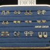 Dior Stud Earrings Collection Set