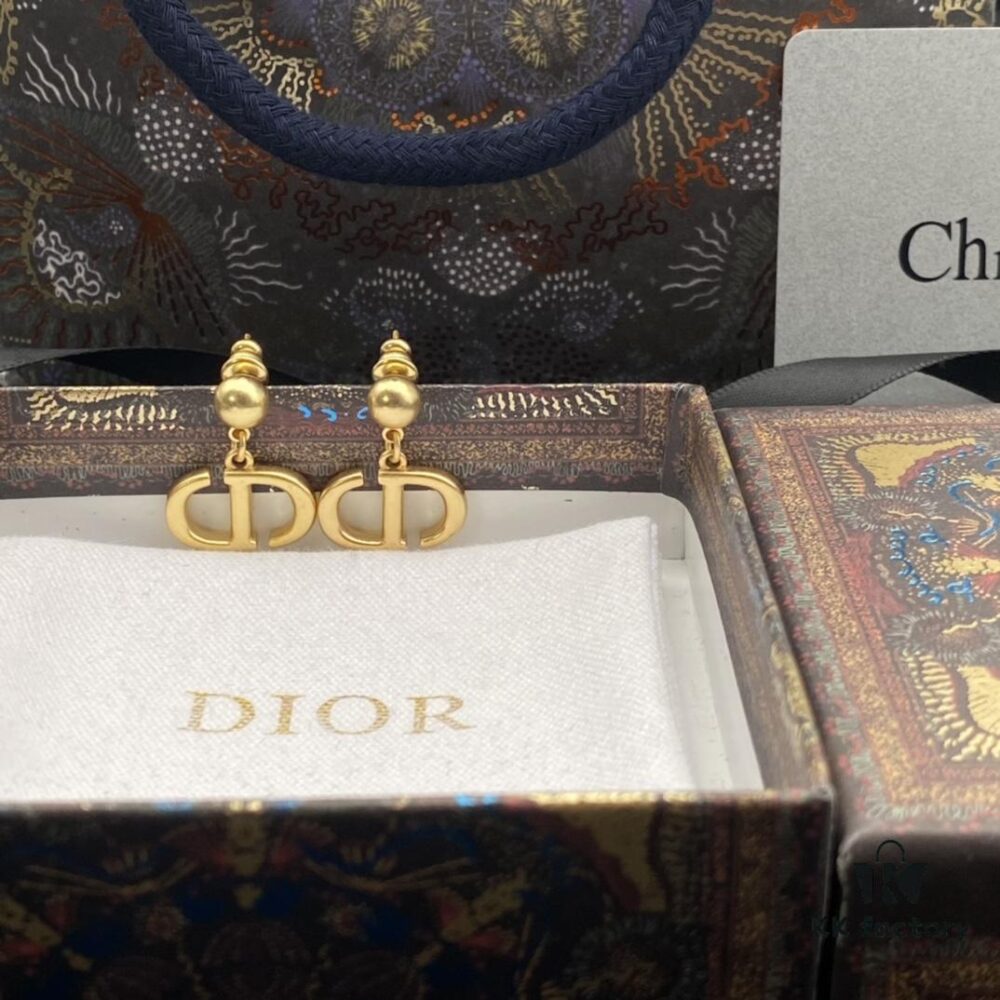 Dior New Style Letter Elegant Stud Earrings 🤎
