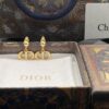 Dior New Style Letter Elegant Stud Earrings 🤎