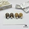 Dior New Arrival Stud Earrings