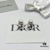 Dior New CD Nose Ring Stud Earrings