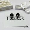 Dior New CD Nose Ring Stud Earrings