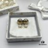 Dior New Arrival Stud Earrings