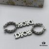 Dior New Arrival Stud Earrings