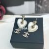 CHANE New Style Resin Heart Pierced Hook Earrings