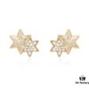 He Fang Liu Guang Twin Star Stud Earrings