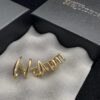 Alexander McQueen New Stud Earrings