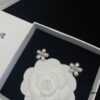 CELINE New Arrival Stud Earrings