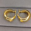 Celine New Arrival Gold Earrings ZP Brass Material