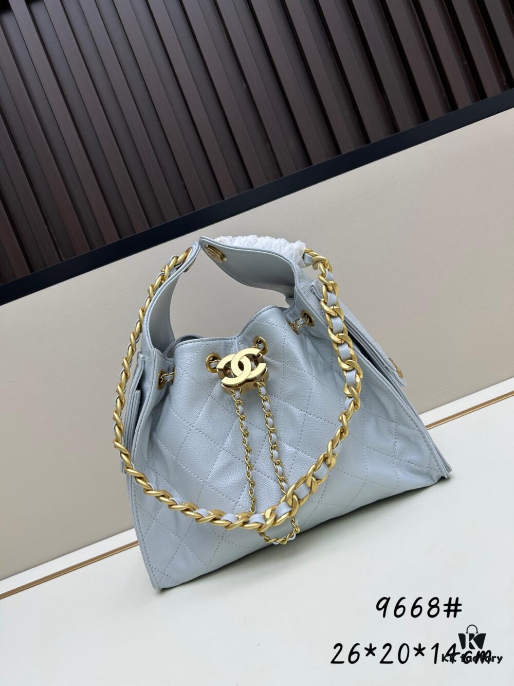 New Chanel 25 Handbag