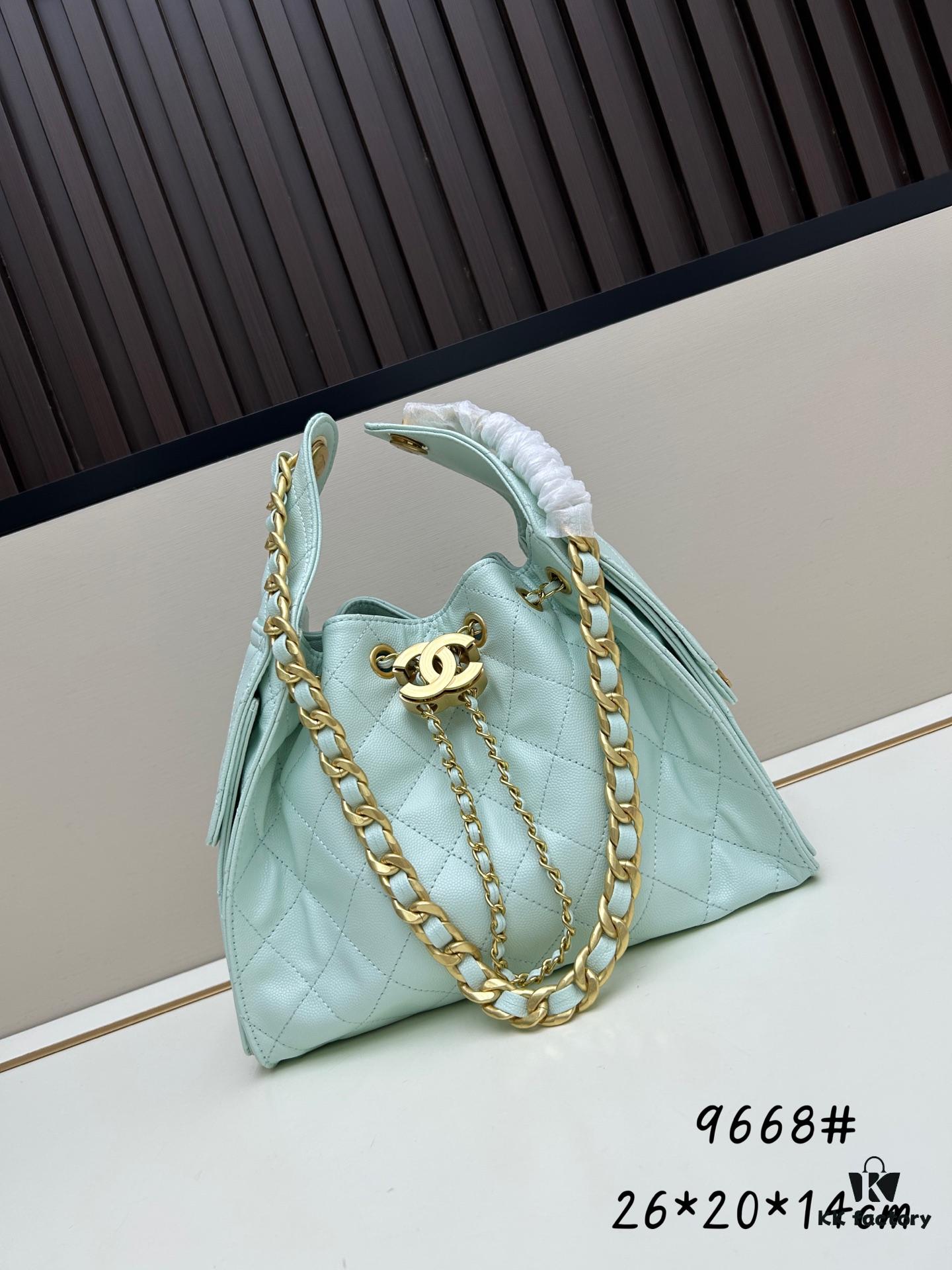 New Chanel 25 Handbag