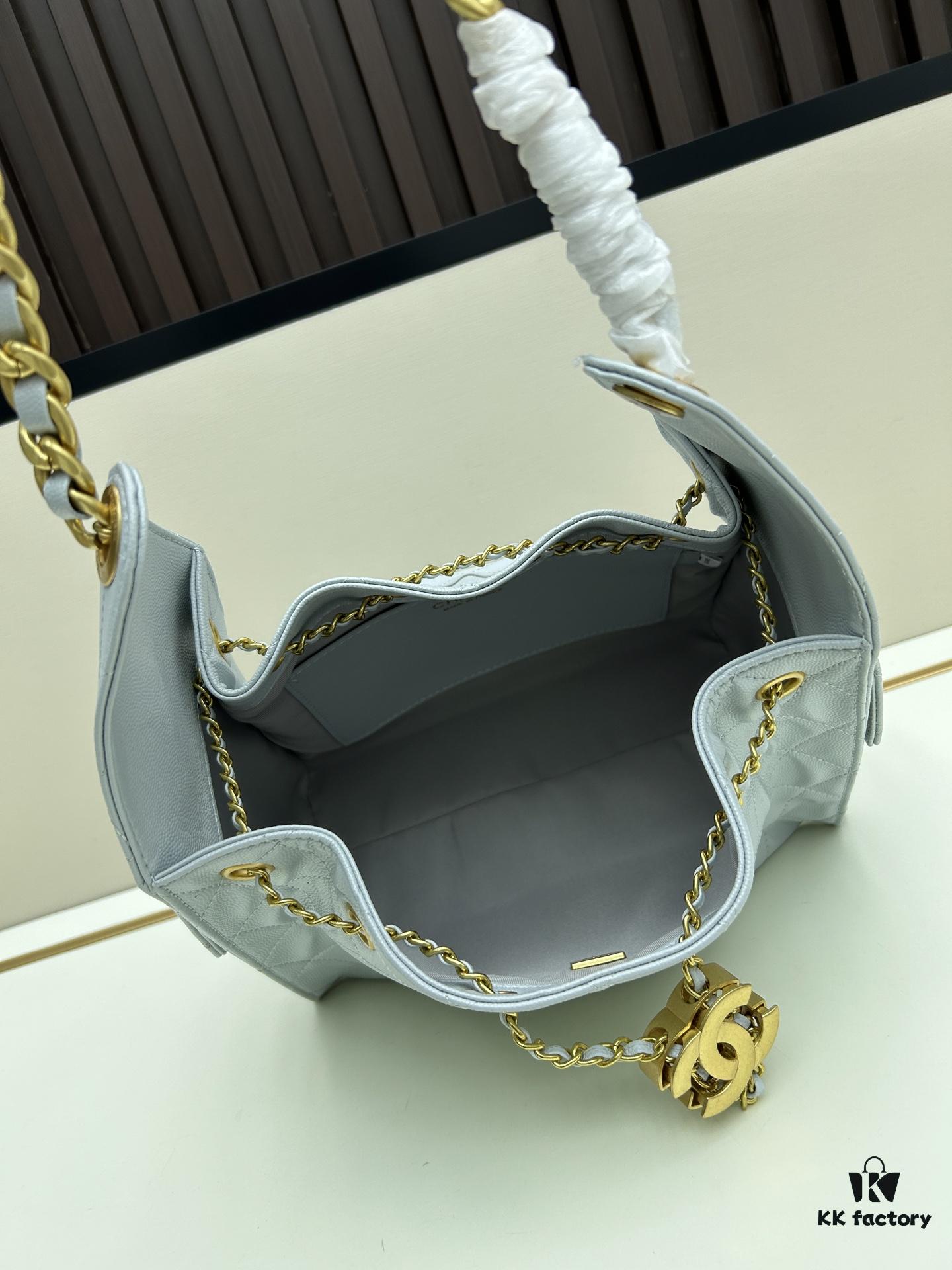 New Chanel 25 Handbag