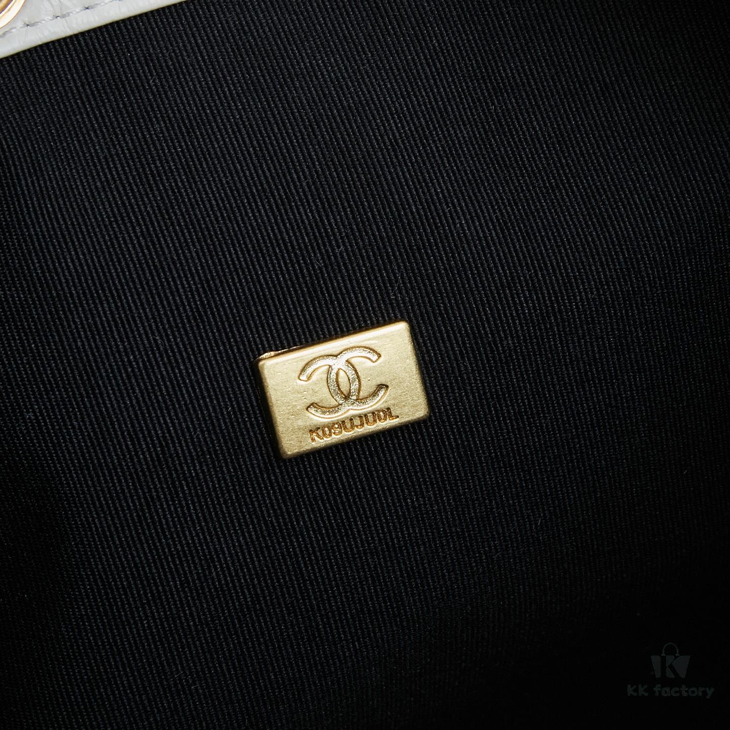 New Chanel 25 Handbag