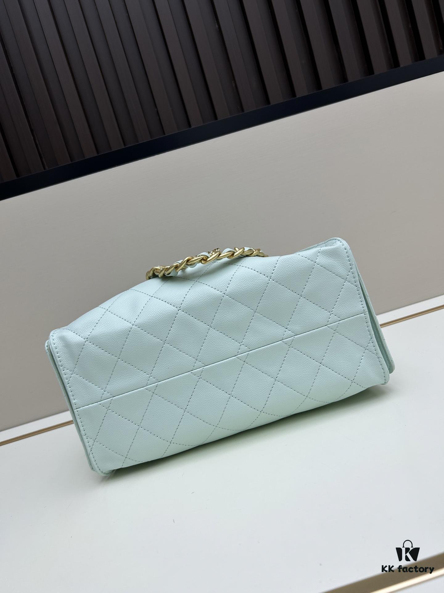 New Chanel 25 Handbag