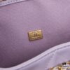 New Chanel 25 Handbag ||| The Newly Crowned 'It Bag' Following the Iconic Chanel 22