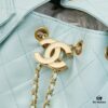 New Chanel 25 Handbag ||| The Rising 'It Bag' After the Chanel 22
