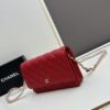 Chanel WOC Classic Fortune Bag with Box (33814 Ball Texture) - Can Be Worn as Crossbody, Shoulder or Clutch