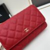 Chanel WOC Classic Fortune Bag with Box (33814 Ball Texture) - Can Be Worn as Crossbody, Shoulder or Clutch