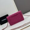 Chanel WOC Classic Fortune Bag with Box (33814 Ball Texture)