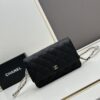 Chanel WOC Classic Fortune Bag with Box (33814 Ball Texture) - Can Be Worn as Crossbody, Shoulder or Clutch