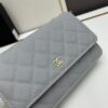 Chanel WOC Classic Fortune Bag with Box (33814 Ball Texture) - Can Be Worn as Crossbody, Shoulder or Clutch
