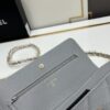 Chanel WOC Classic Fortune Bag with Box (33814 Ball Texture) - Can Be Worn as Crossbody, Shoulder or Clutch