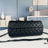 New Chanel Handle WOC Bag
