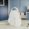 New Arrival Most Practical 'Cute Mini Waste Bag' Chanel 24C Mini Backpack