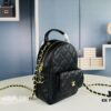 New Arrival: Chanel 24C Mini Backpack – The Most Practical and Adorable 'Little Waste Bag'