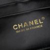 Upgraded New Chanel LP Lunch Box Bag 2025 Latest Release