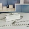 New Arrival Multi-Color Chanel-Inspired Silver Chain Mini Bag – Stylish and Versatile