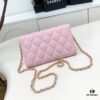 Chanel Classic Quilted Shoulder Crossbody Bag in Calfskin with Chain
